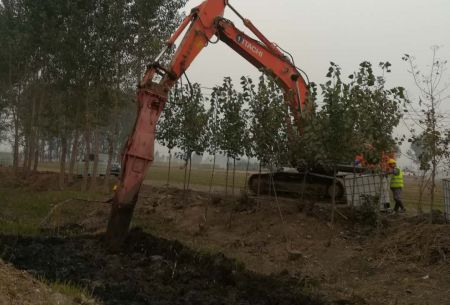 华北某垃圾填埋场处理项目（二）